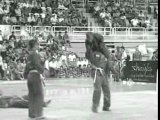 vovinam championnat du monde 2007