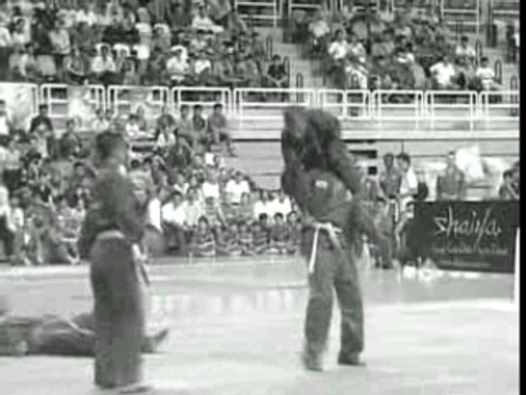 vovinam championnat du monde 2007