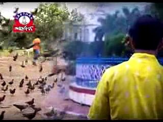 Naati Mora Bulbul --- Oriya Album Song