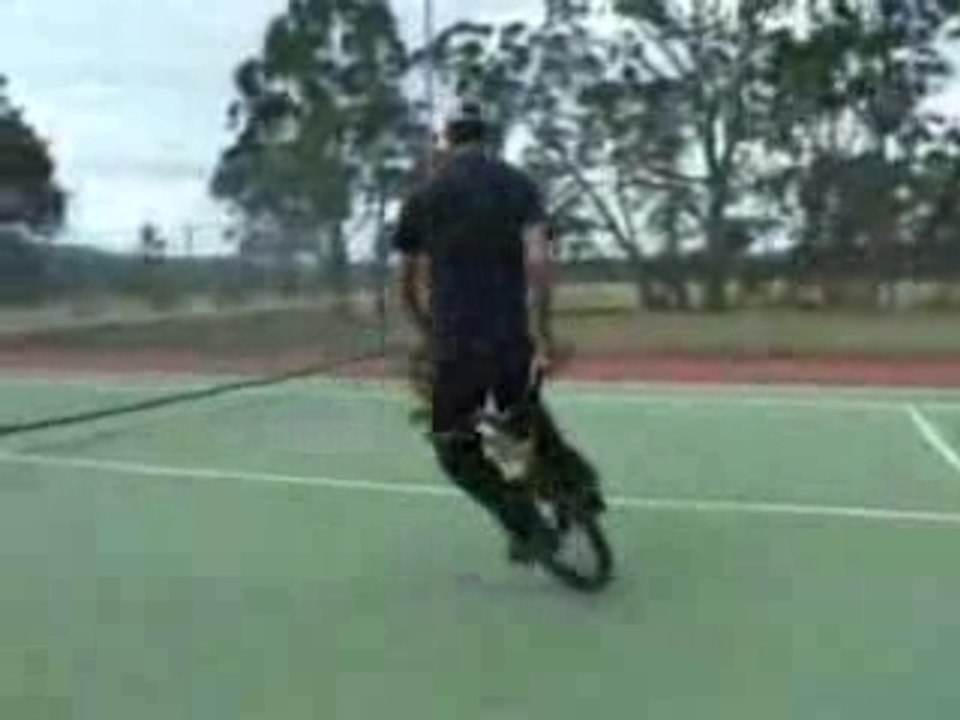 Nosebleed section, hilltop hoods