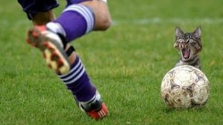 Funny Soccer Football Vines 2017 ● Goals l Skills l Fails #31