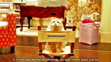 MA VIE DE CHAT - casting, interview et making-of - PAROLE DE CH