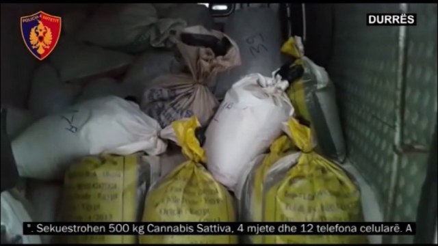 Sekuestrohen 500 kg kanabis, pesë në pranga, një në kërkim