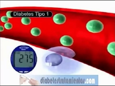 Que es la diabetes mellitus - Diferencias entre la diabetes tipo 1 y diabetes tipo 2