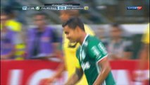 Palmeiras x São Bernardo (Campeonato Paulista 2017 3ª rodada) 1º Tempo