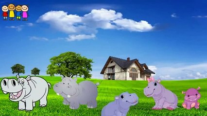 Cartoo  Cabbage Finger Family Rhymes in English   Family Finger Song