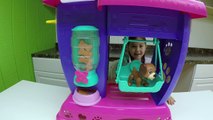 NEW DOC MCSTUFFINS PET VET CHECKUP R Toy Puppy Findo Playing Doctor Vet
