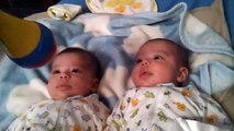 Adorable twin babies hilariously mesmerized by toy