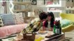 Song Hye Kyo Kiss Scene Compilation Korean Romantic Kiss HOT KISS KOREAN Drama Romance ( C