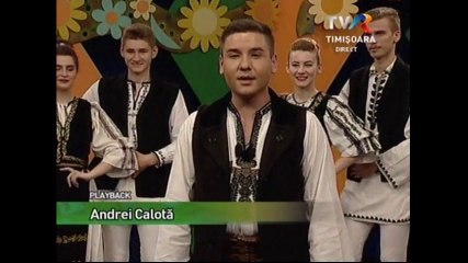 Andrei Calota - Dragostea din ce-i facuta