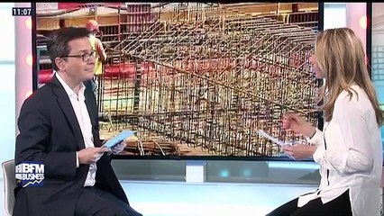 BTP: une carte d'identité pour lutter contre la fraude – 01/04