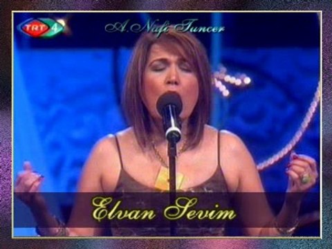 Elvan SEVİM - Hangi Dağın Ardındasın Sevdiğim (U.H)