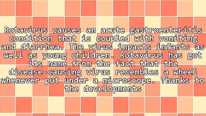 Everything That You Wanted to Know About Rotavirus