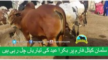 371 || Bull qurbani || 2017 || 2018 || Eiduladha in Pakistan || Cow mandi