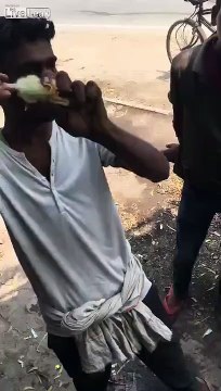 Pour vendre ses poussins, il fait des techniques vraiment inimaginables