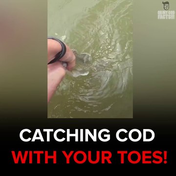 Le gars peche avec ses pieds et choppe un enorme poisson