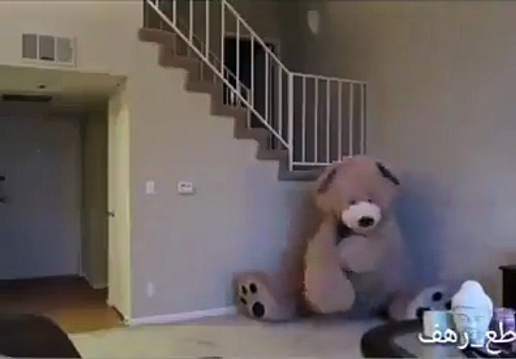 New Funny video 2017