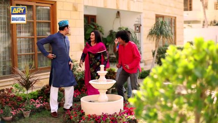 Watch Dilli Walay Dularay Babu Episode 32 - on Ary Digital in High Quality 1st April 2017