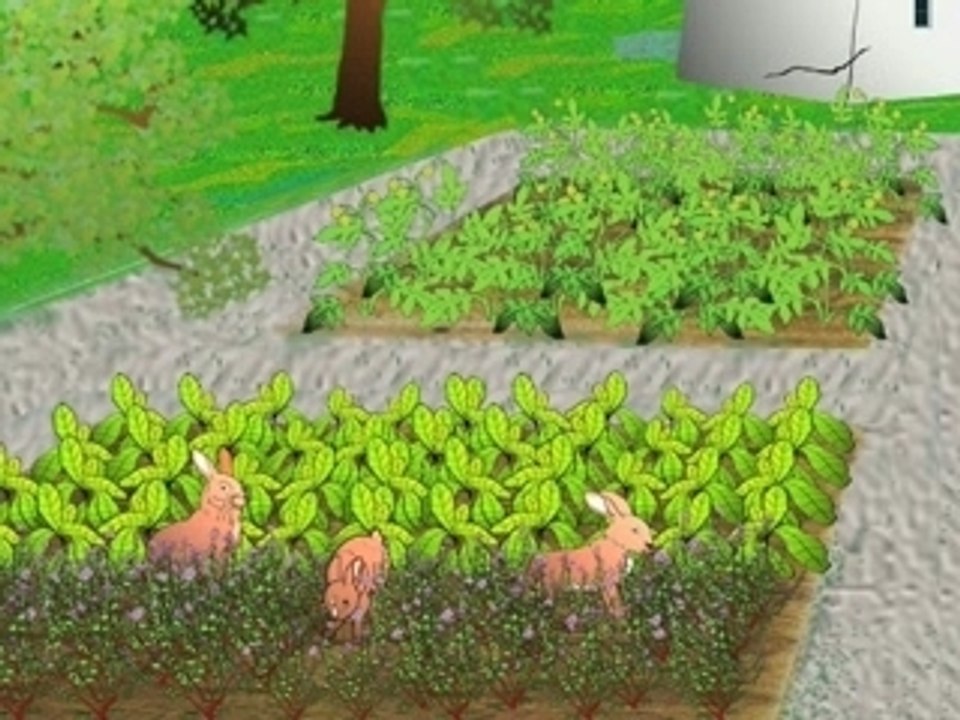 QUATRE PETITS LAPINS