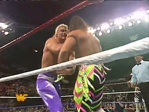 1991 WWF Survivor Series (The Rockers, The Bushwhackers vs The Nasty Boys, The Beverly Brothers)