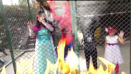 Batman And Joker organized racing on the road - The family's daily life Spiderman