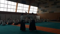 Stage d'aïkido