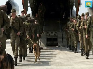 Отряд саперов ВС РФ прибыл в Сирию для разминирования Пальмиры