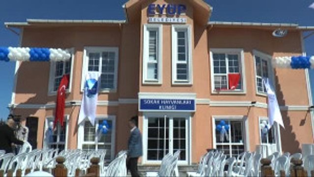 Kemerburgaz Sokak Hayvanları Kliniği Hizmete Açıldı