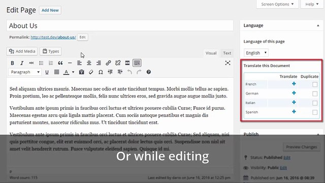 wpml-homepage-video-1024