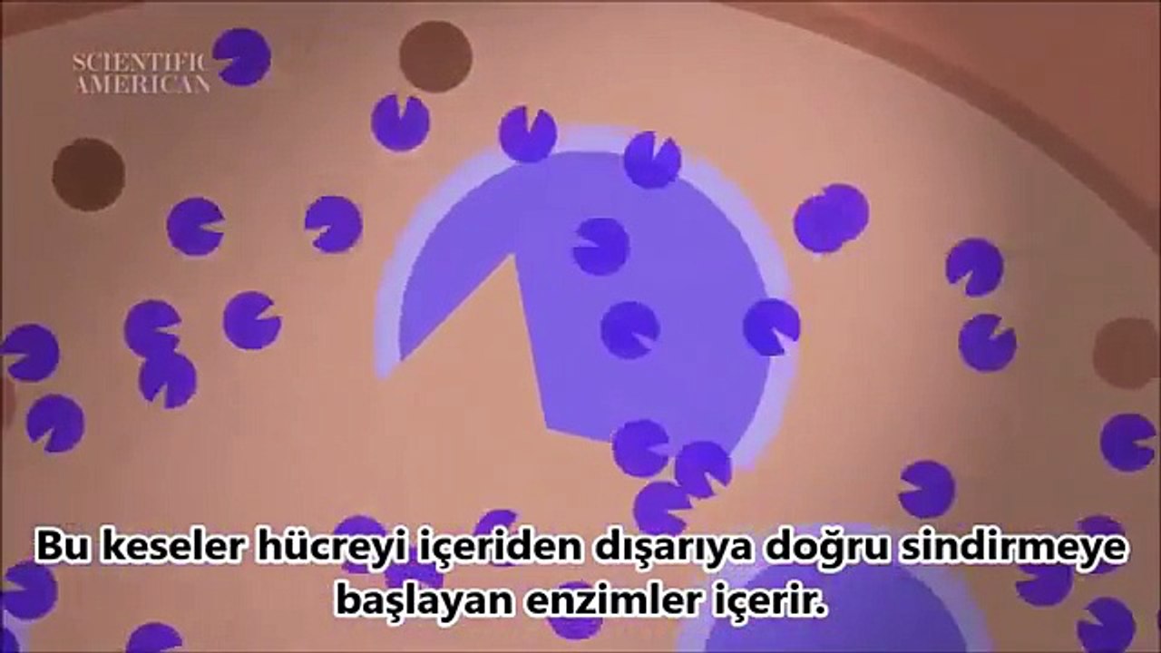 Öldükten Sonra Bedenimiz