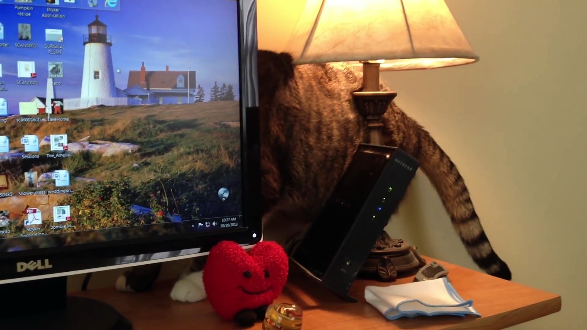 ⁣Funniest Home Video Pet Reaction Bloopers of 2016 - Funny Pet Videos