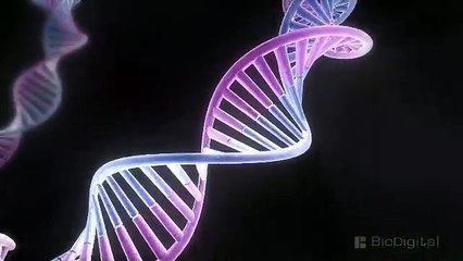 3D Medical Animation - What is Cancer