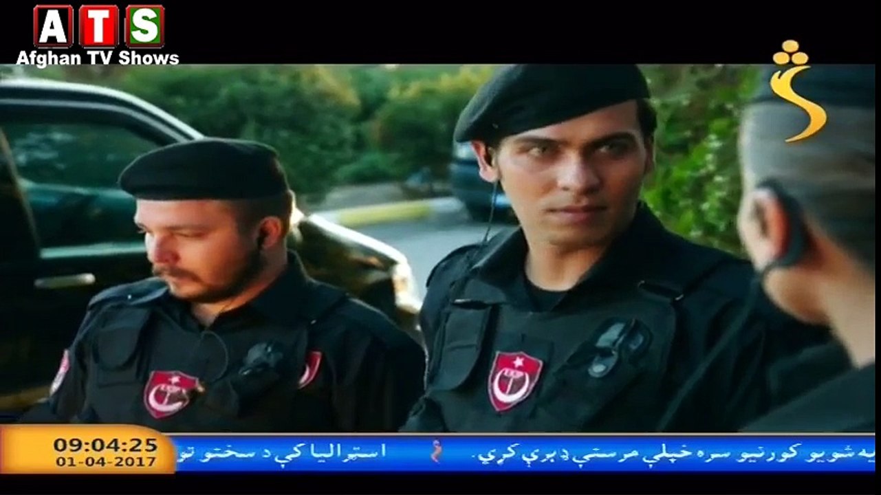 shaheen 77