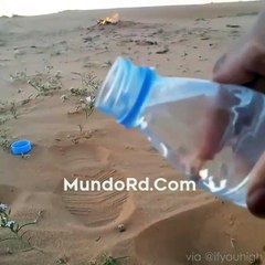 Increible pero cierto la forma en la que esta agua se conjela al instante