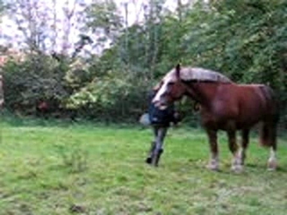Travail à pied