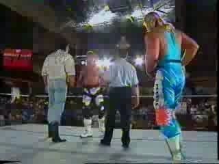 hbk vs owen hart