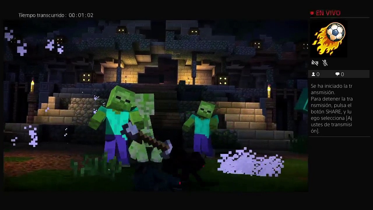 Minecraft (16)