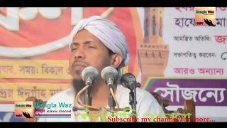 Bangla Waz by Rafiq Ullha Afsari   HD