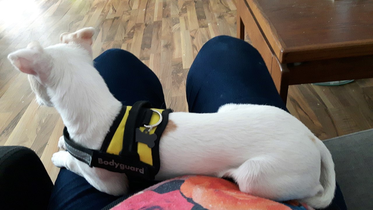 neue Bilder März 2017