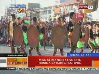 BT: Mga alimango at sugpo, ibinida sa isang festival
