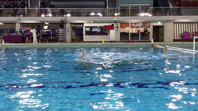 water-polo PRO A | Le résumé du match Tourcoing 6 / 24 Marseille | 01-04-2017