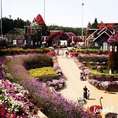 Dubai Miracle Garden - Best Places to Travel in 2017 - Best in Travel 2017