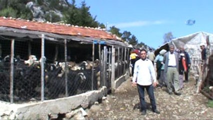 Köylülerin Taş Ocağı Tepkisi