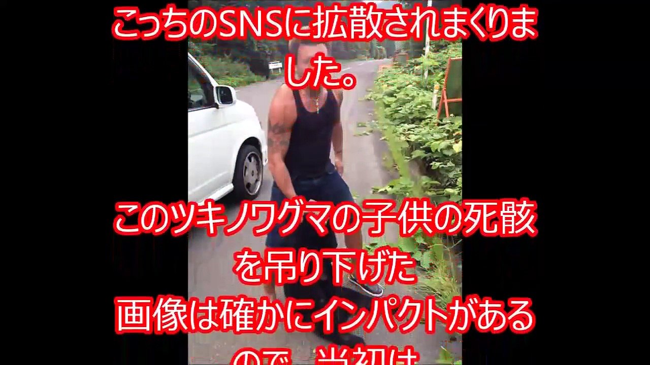 【※大炎上※】 DQNが子グマをボコボコに殴り殺し、 ドヤ顔でツイッターに投稿