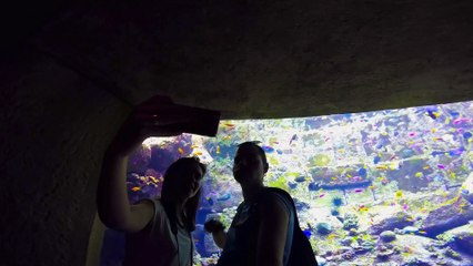 Dubai Trip 2016 - Gopro Hero 5