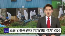 AI 위기 경보 '경계'로 격상...전국 확산 우려 / YTN (Yes! Top News)