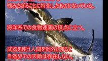 【閲覧注意】実はとても怖い巨大生物に世界が震えた！マジでヤバイ超危険生物も！？【遭遇したらガチで逃げ出したくなる】