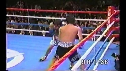 Popular Videos - プロボクシング・世界チャンピオン会 & Strike