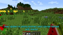 Minecraft Chameleons Cockatiel Parrot Coloured Beds Coloured Liquids