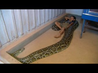 The Cambodian Boy Who Sleeps with a Python
